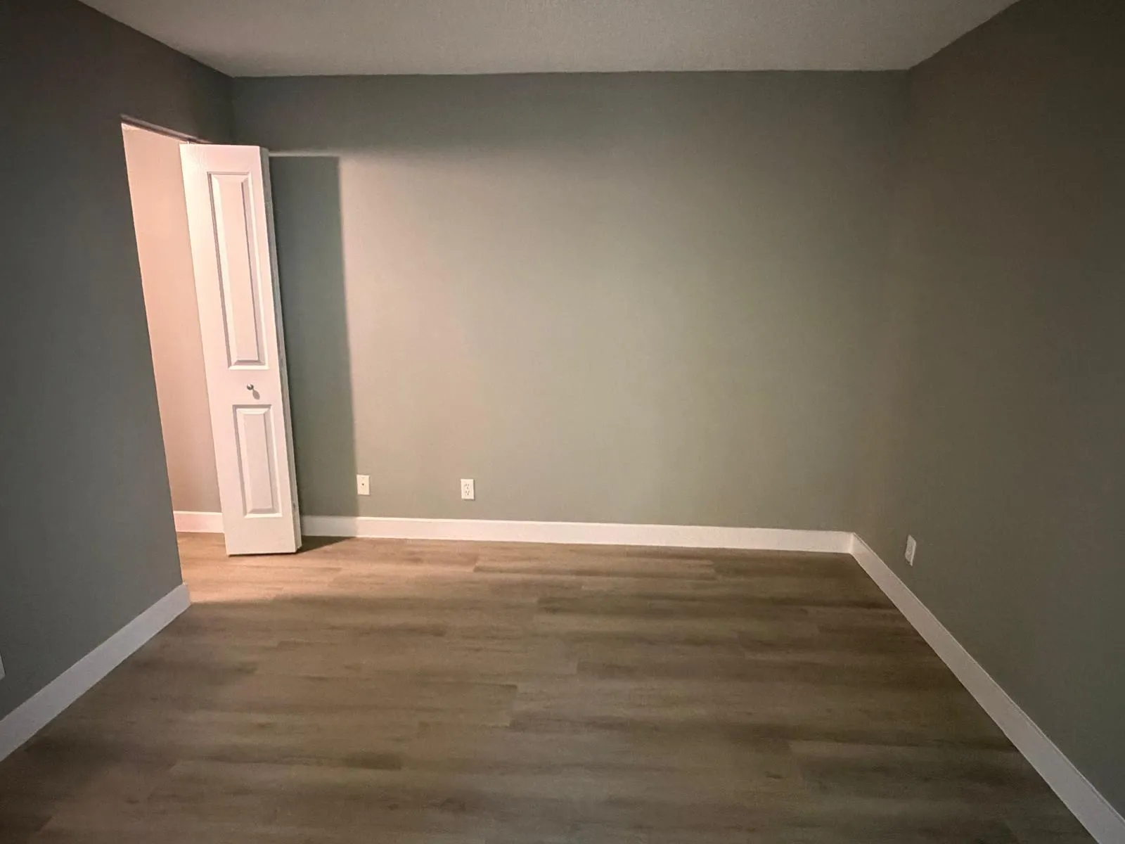 Interior room featuring wood-finish flooring, light gray wall paint, and white trim molding