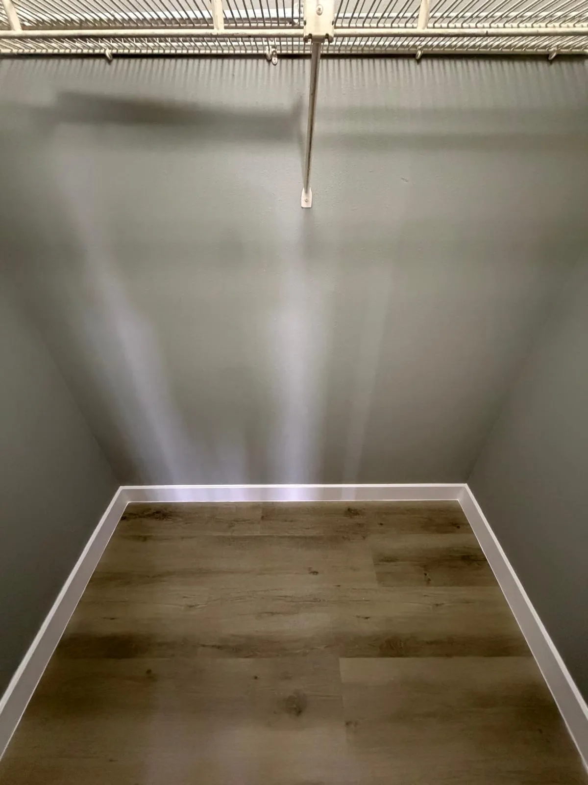 Closet featuring wood-finish flooring, white baseboards, and wire shelving