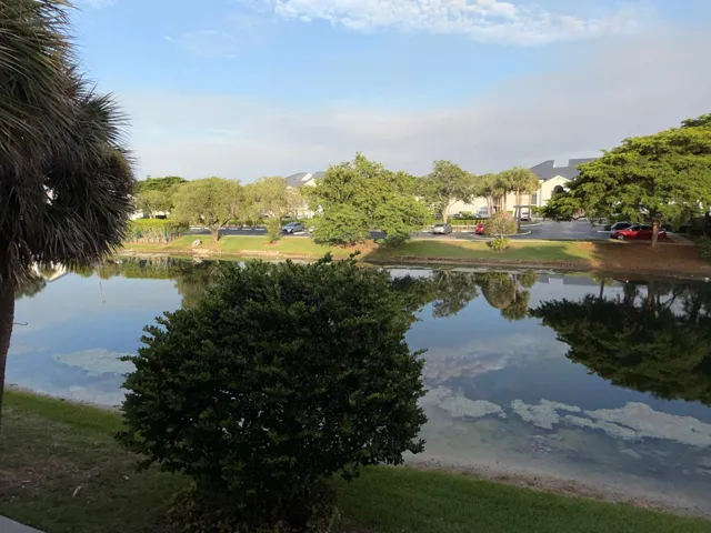 Expansive water feature bordered by green landscaping and mature trees