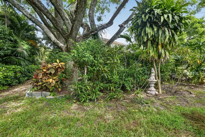 45-web-or-mls-_14A3184