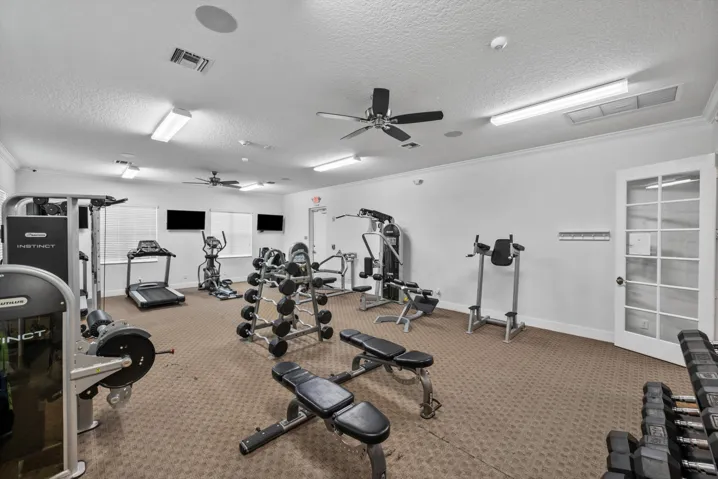 59-15600 Italian Cypress Wy