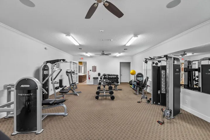 58-15600 Italian Cypress Wy