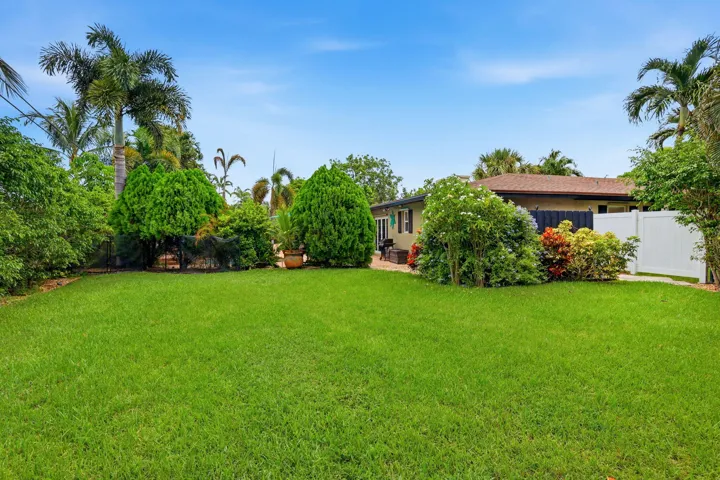 Massive Yard