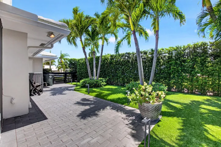 SIDEYARD VIEW