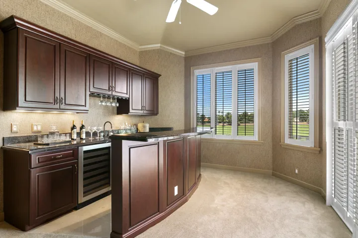 Theater Wet Bar