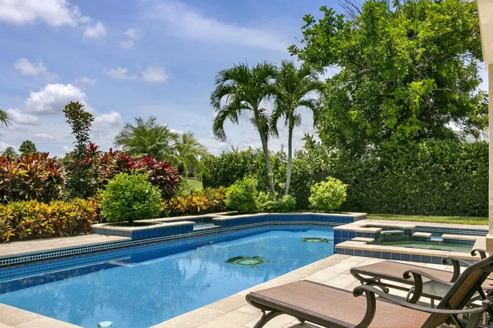 Pool & Jacuzzi private landscape
