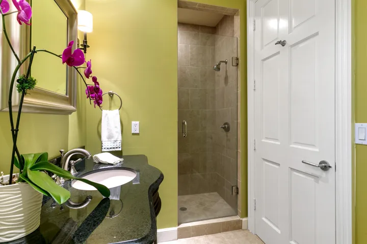 Guest Bathroom 3