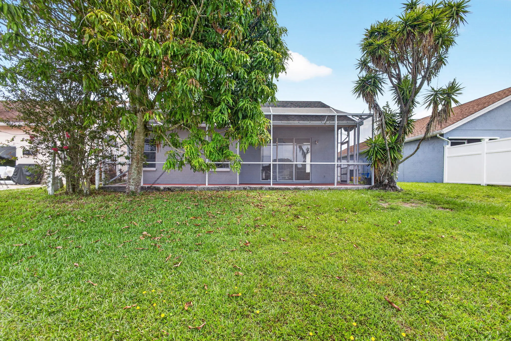 48-web-or-mls-5D1A5719