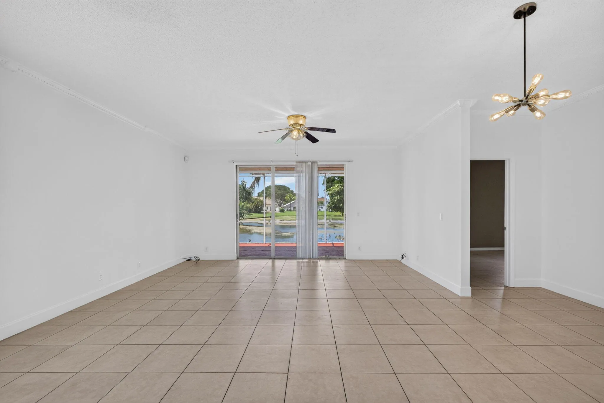 9-web-or-mls-5D1A5524