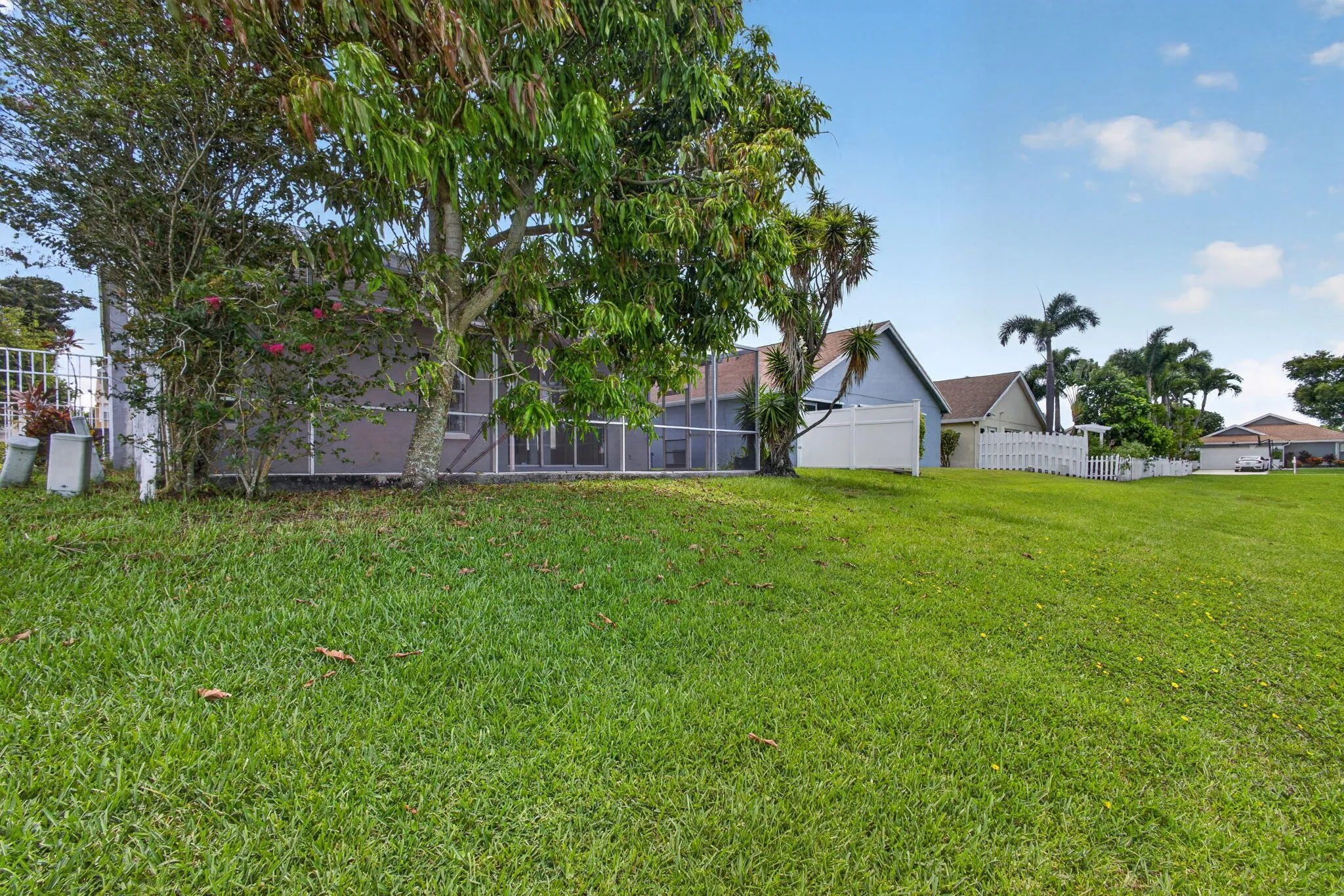 49-web-or-mls-5D1A5729