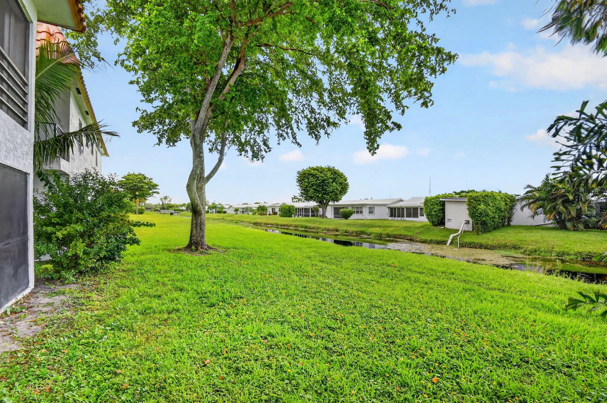 Expansive green space featuring a mature tree, low-rise building exterior with a tiled roof, and a visible waterway