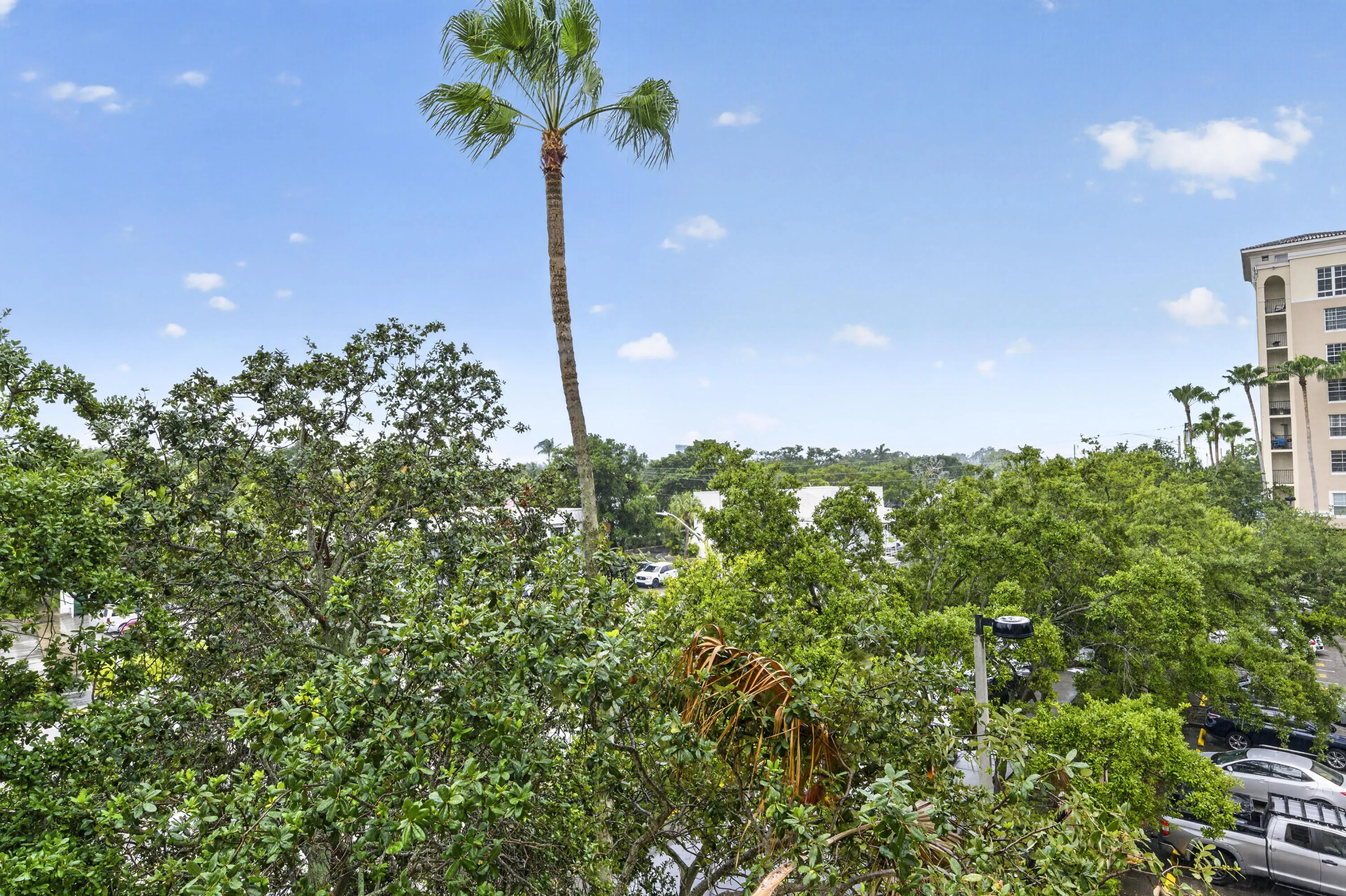 Peaceful treetop views create a private, relaxing backdrop from your residence.