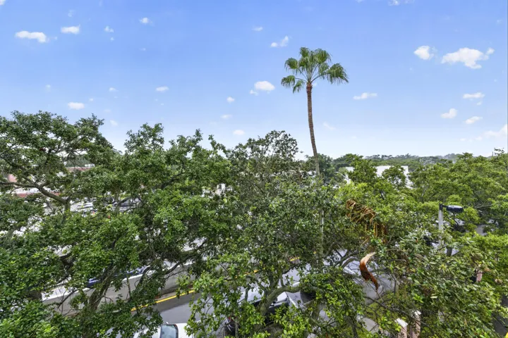 Peaceful treetop views create a private, relaxing backdrop from your residence.