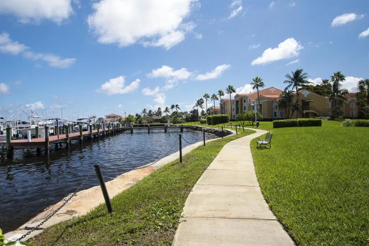 Yacht Sidewalks and Marina