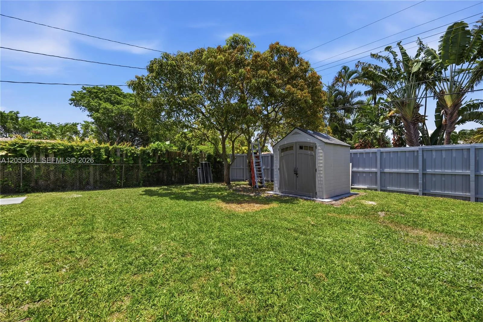 Expansive Fenced Yard