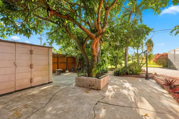 backyard