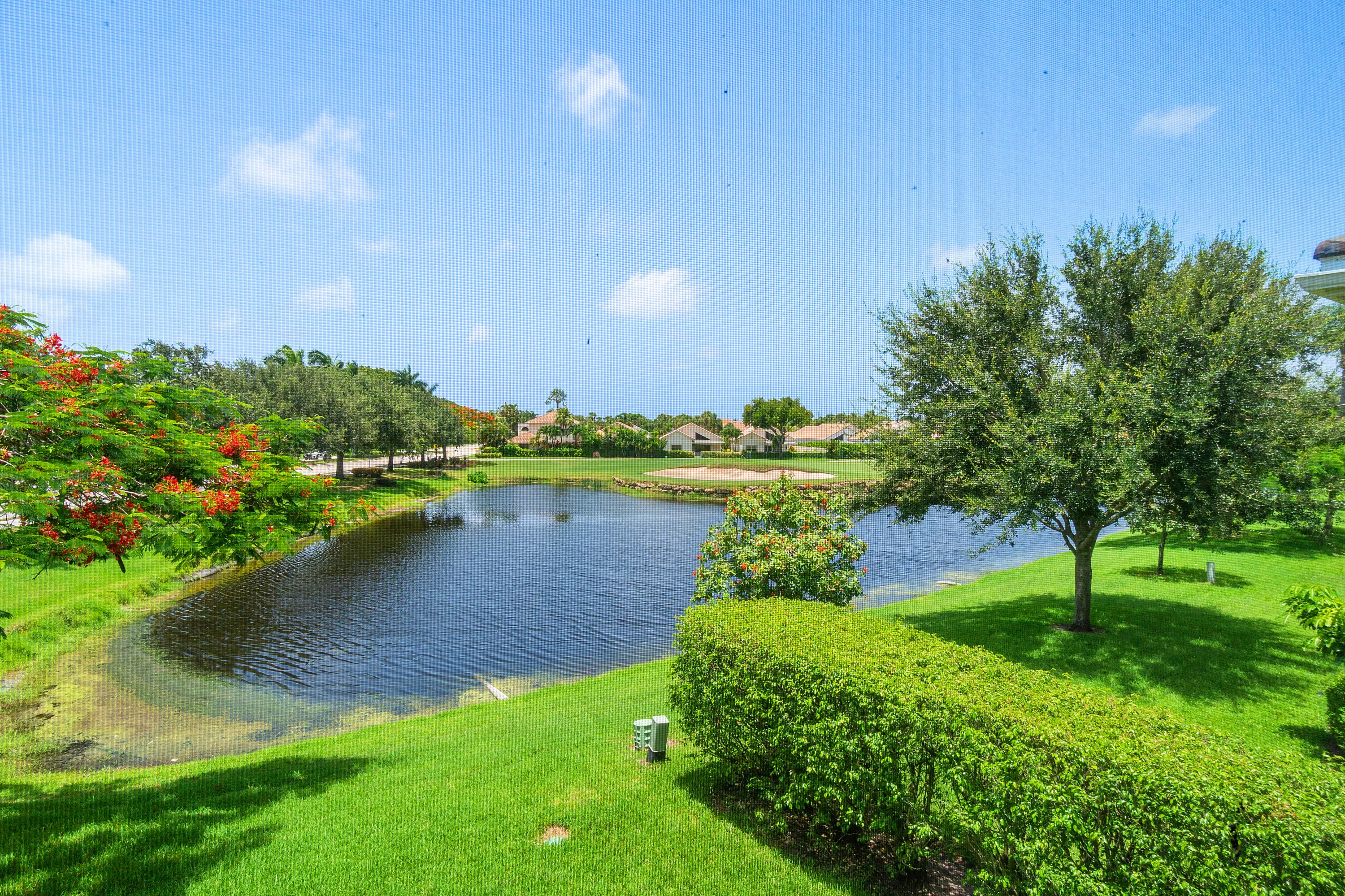 Lake Views