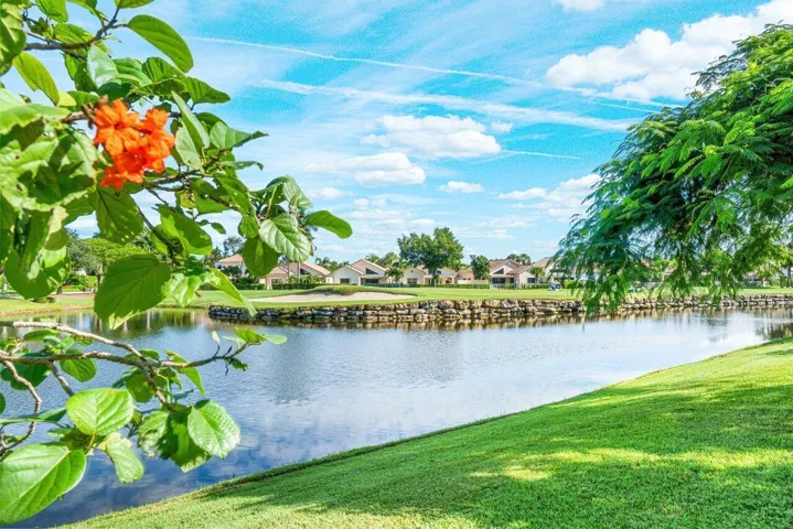 Lake Views
