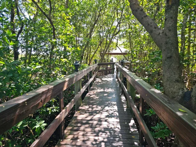 Dock Access 2