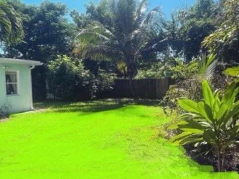 Backyard