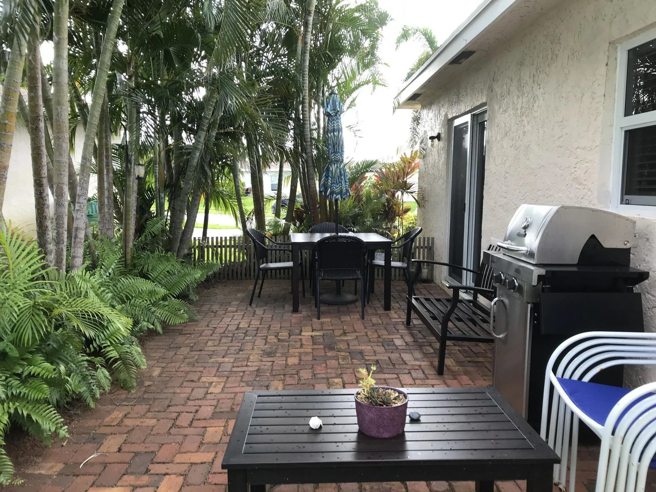 Brick paver patio with a sliding glass door entry, bordered by mature palm trees and lush ferns