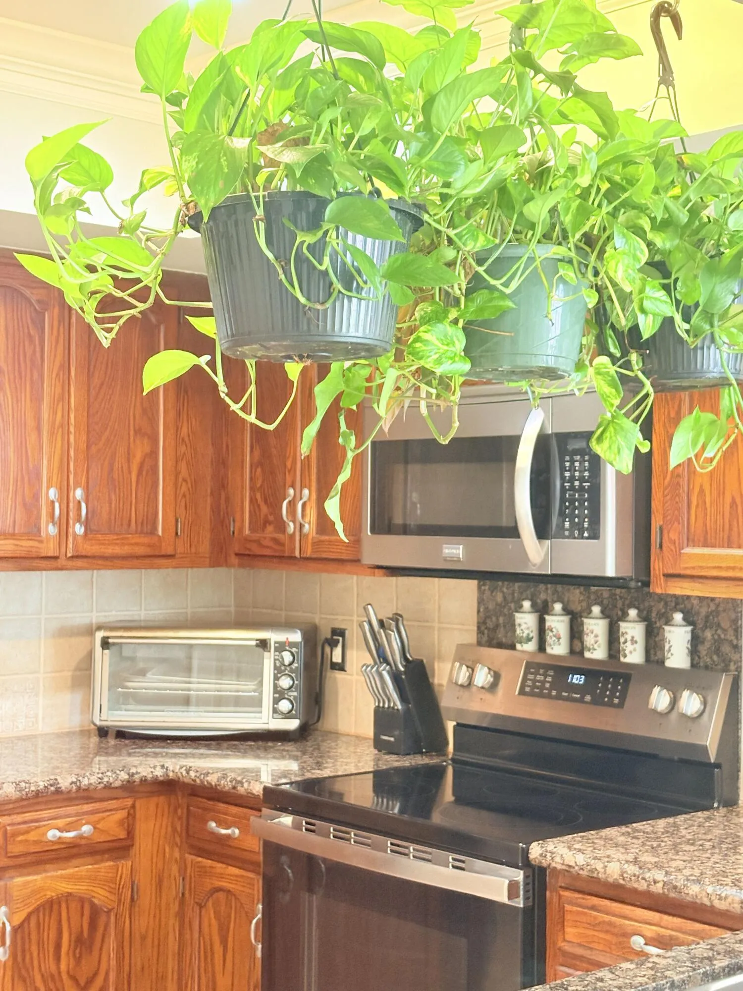 Property photo 25