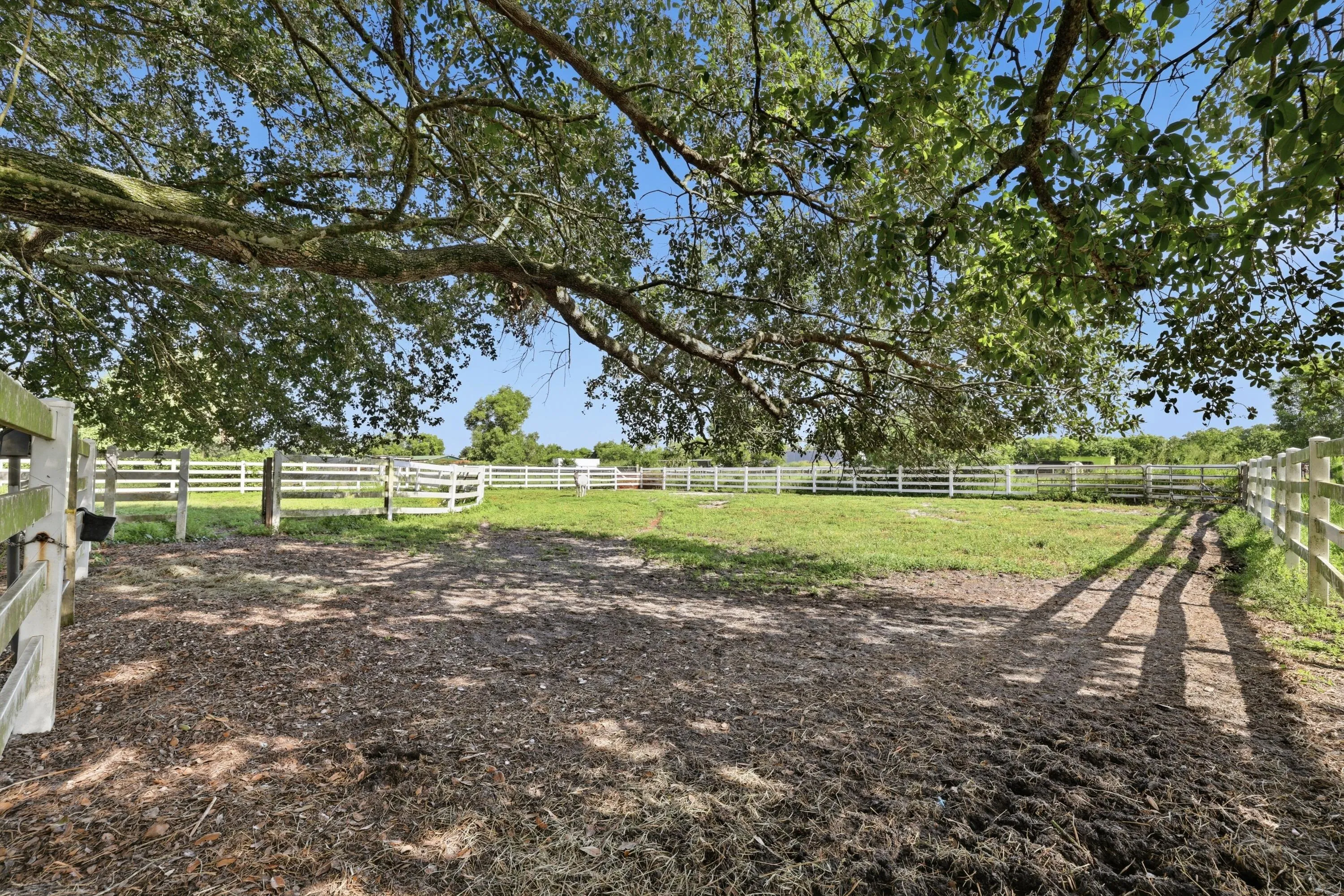 Paddock