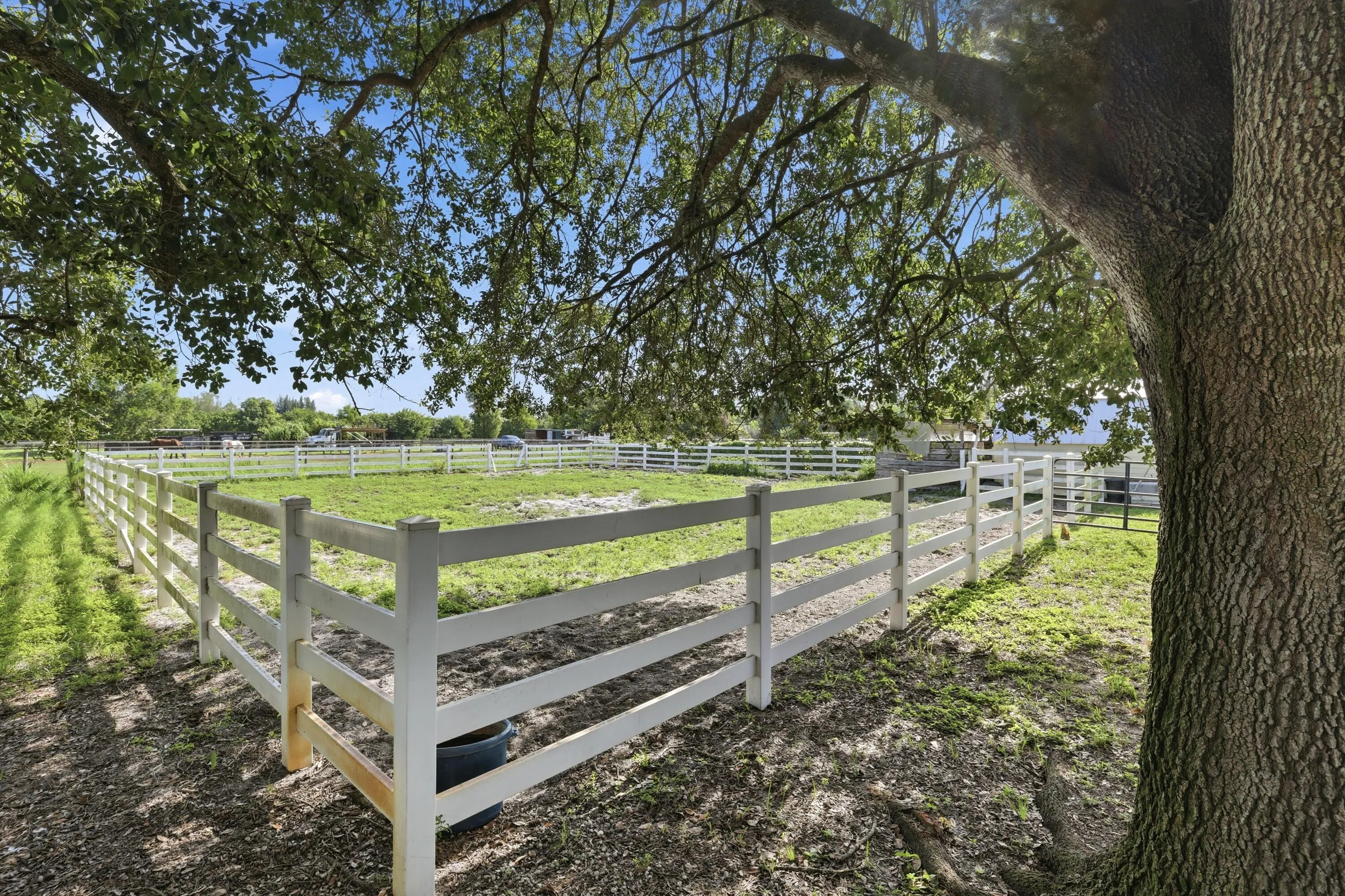 Paddock