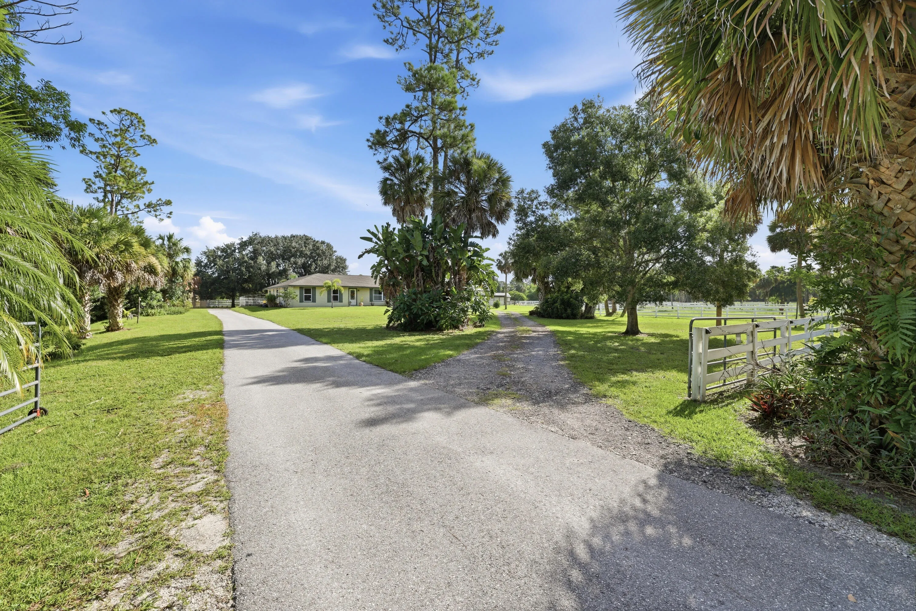 Driveway