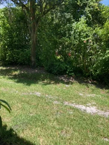 Backyard View