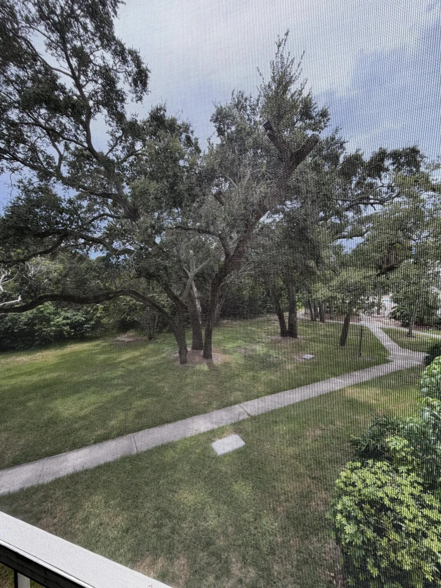 604 NW 13th Street 21 (1)