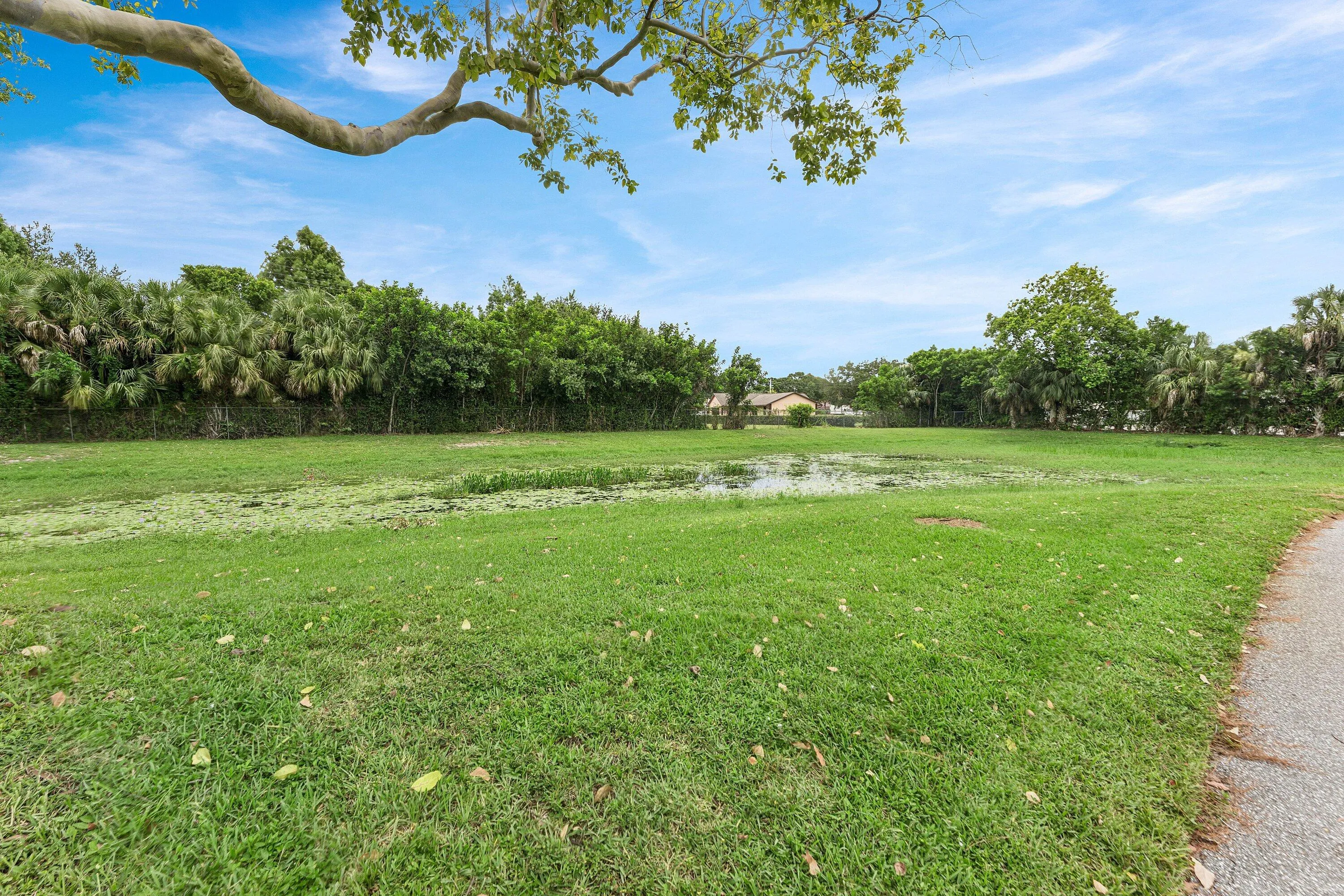Green Space across from condo building
