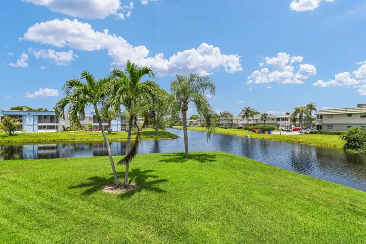 Lush green landscaping frames a tranquil water feature with mature palm trees