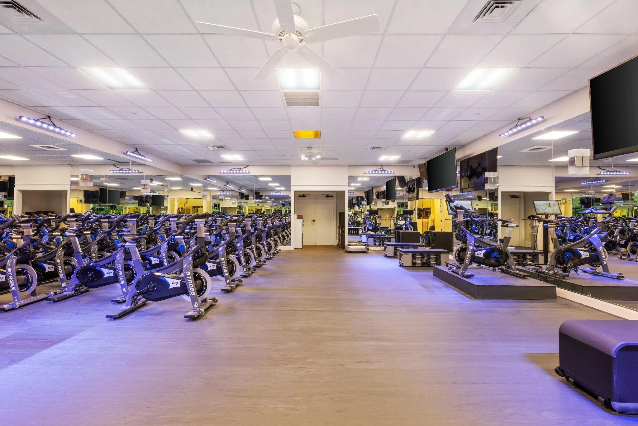 14 - Gym 2 Spin