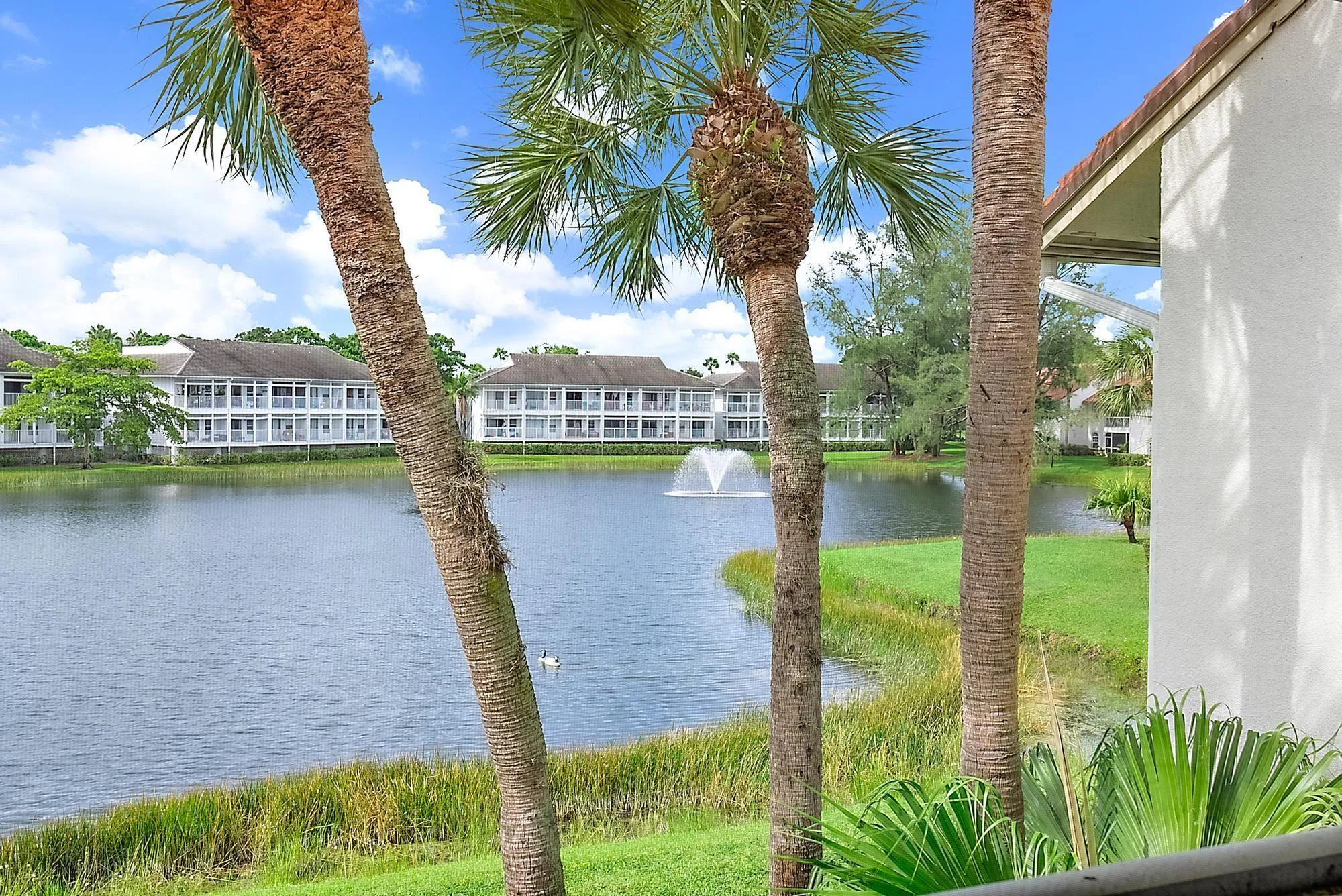 216 Cypress Point Drive, #216-20