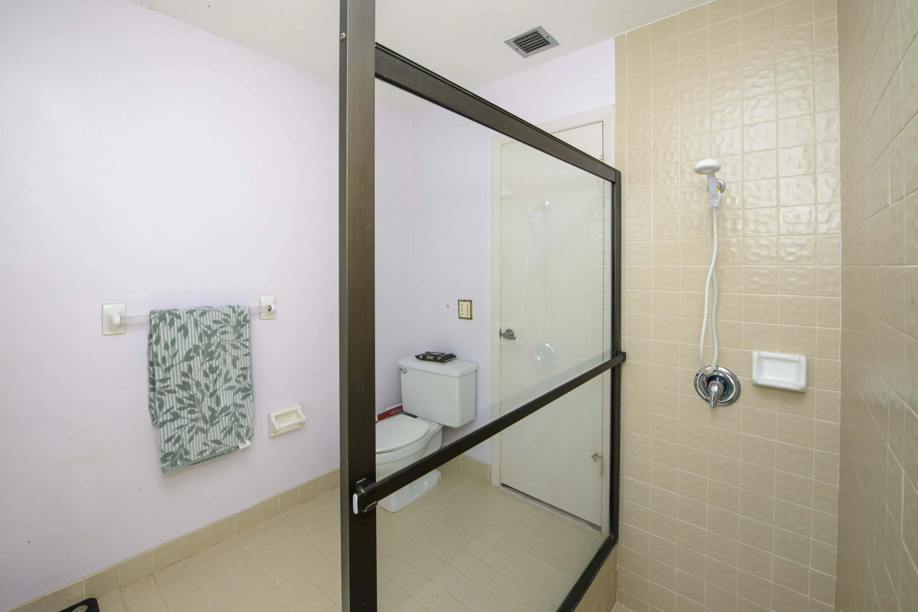 10- Master bathroom (4)