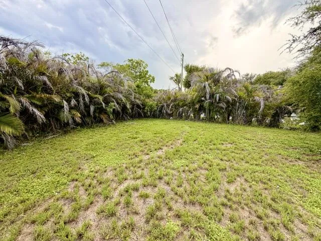 Yard
