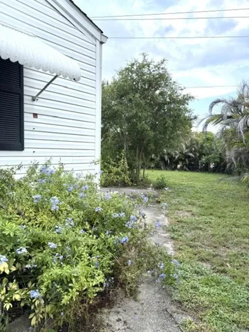 Yard