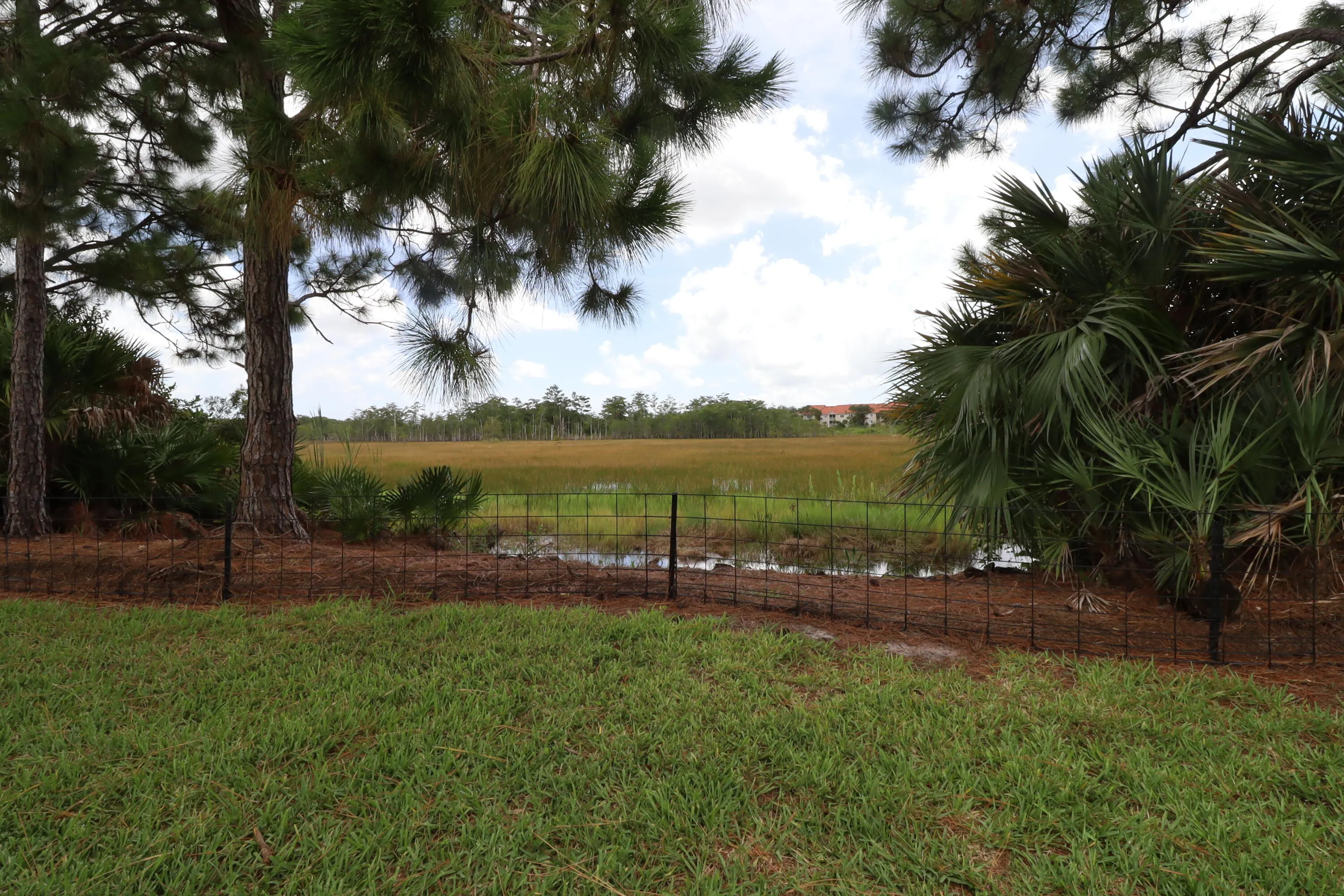 Preserve view