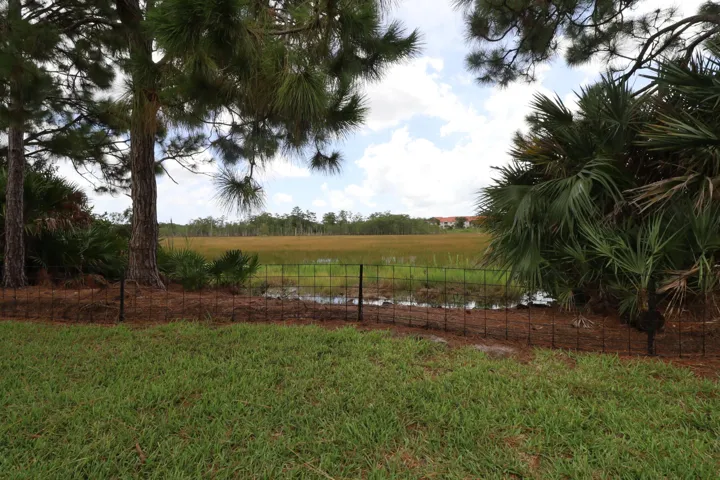 View From backyard