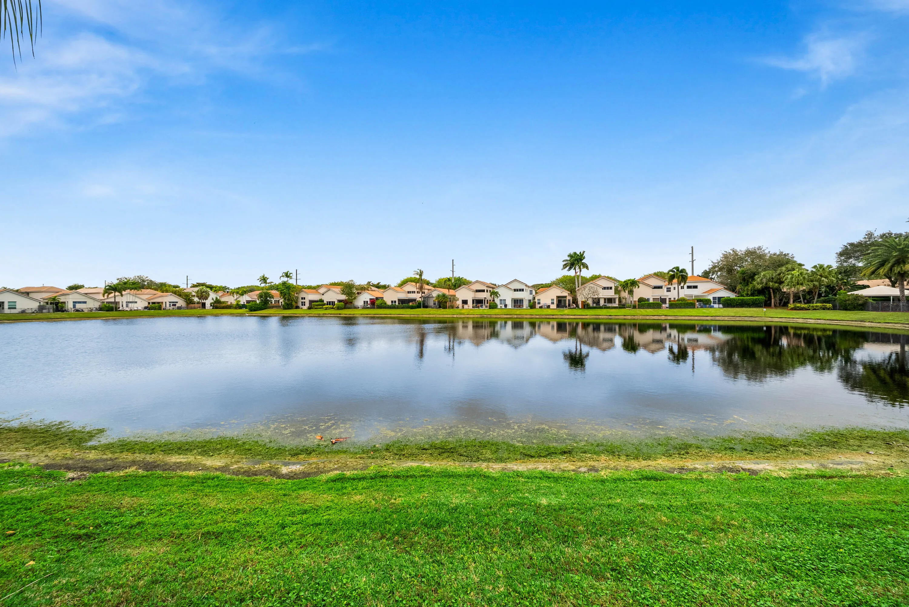 Lake view