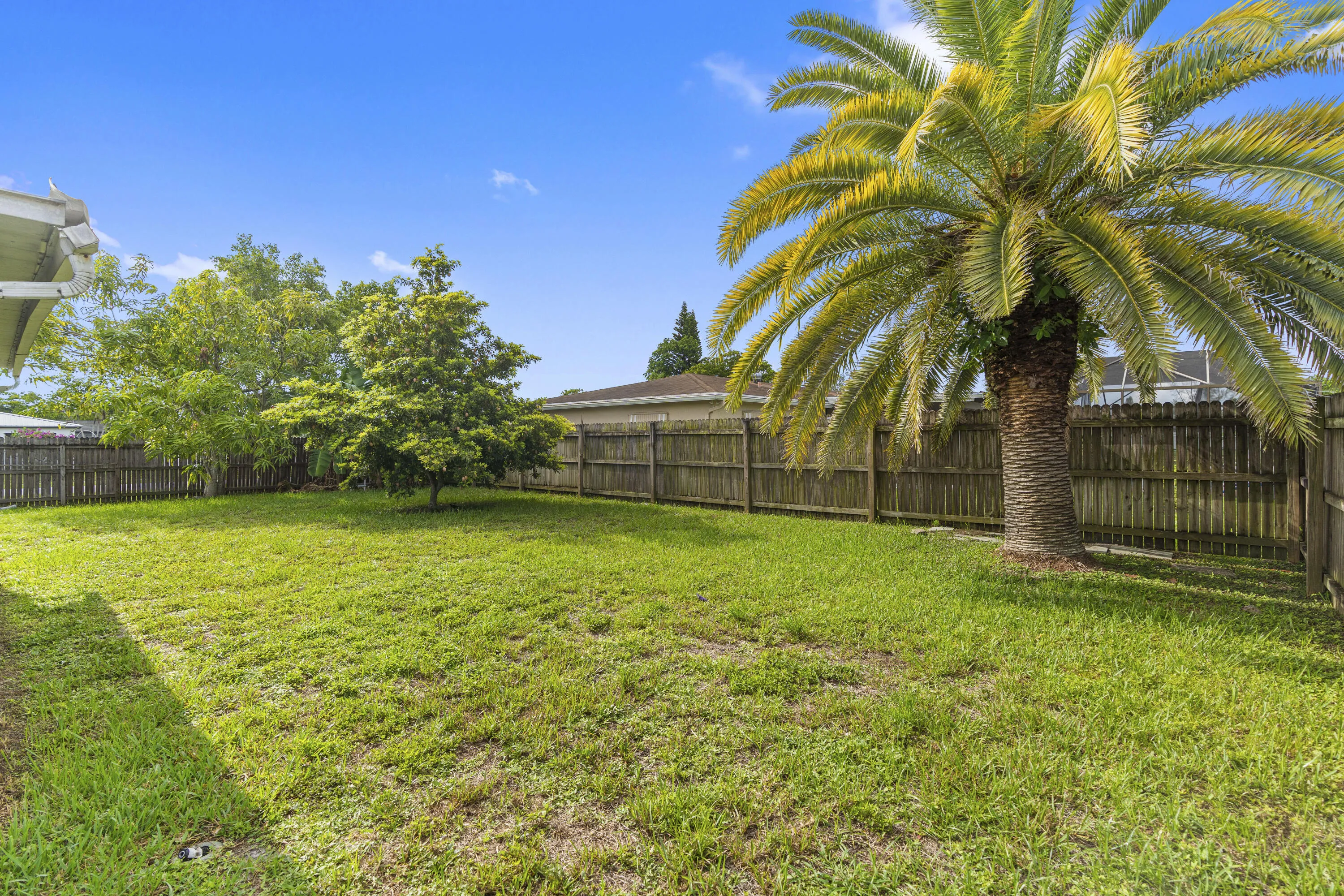 Fenced-in Backyard