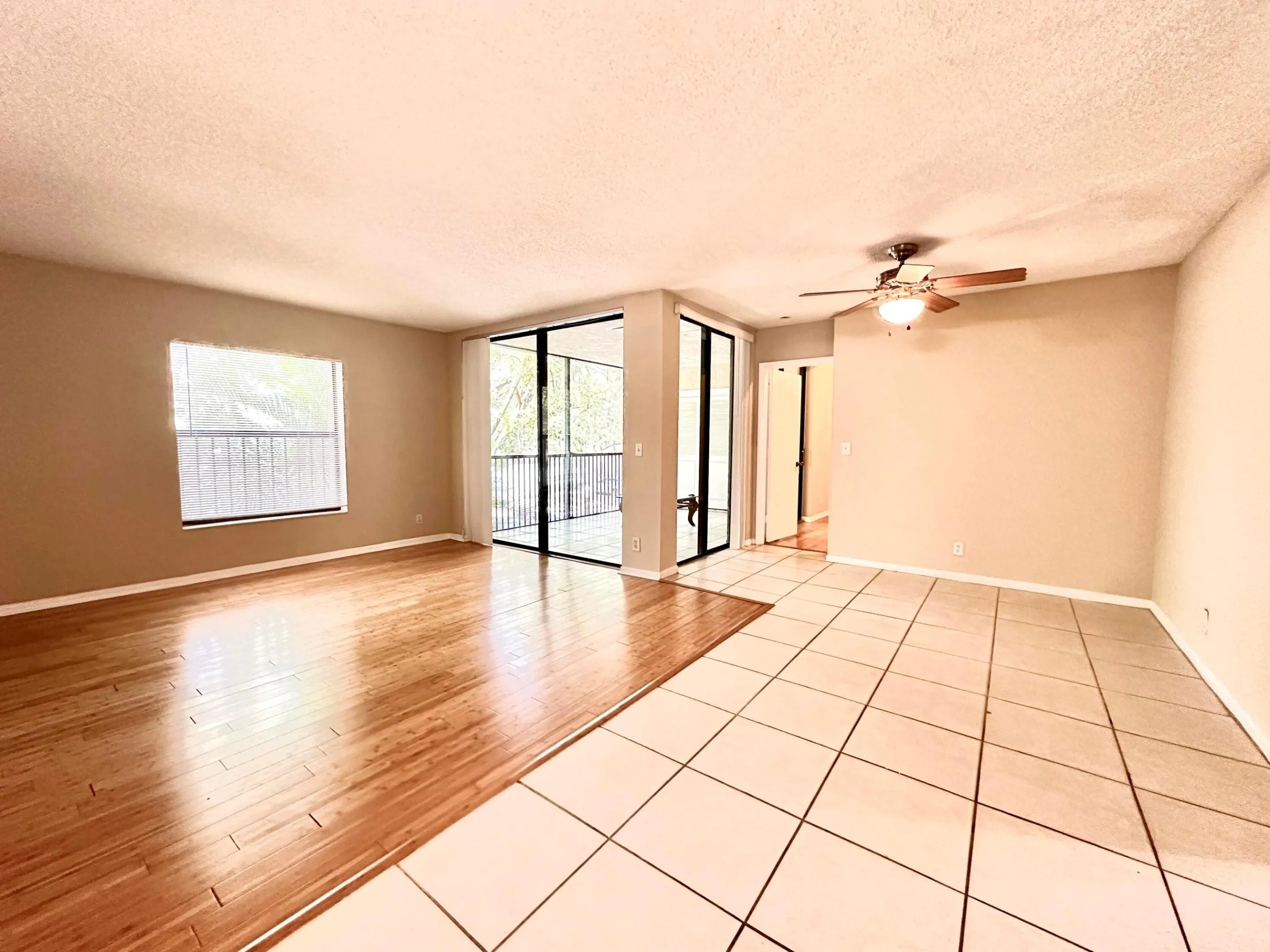 IMG_3220