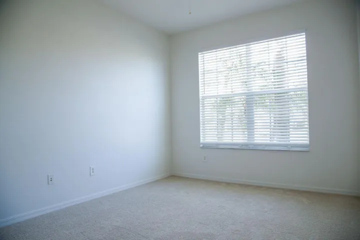 20190207185206849007000000-o
