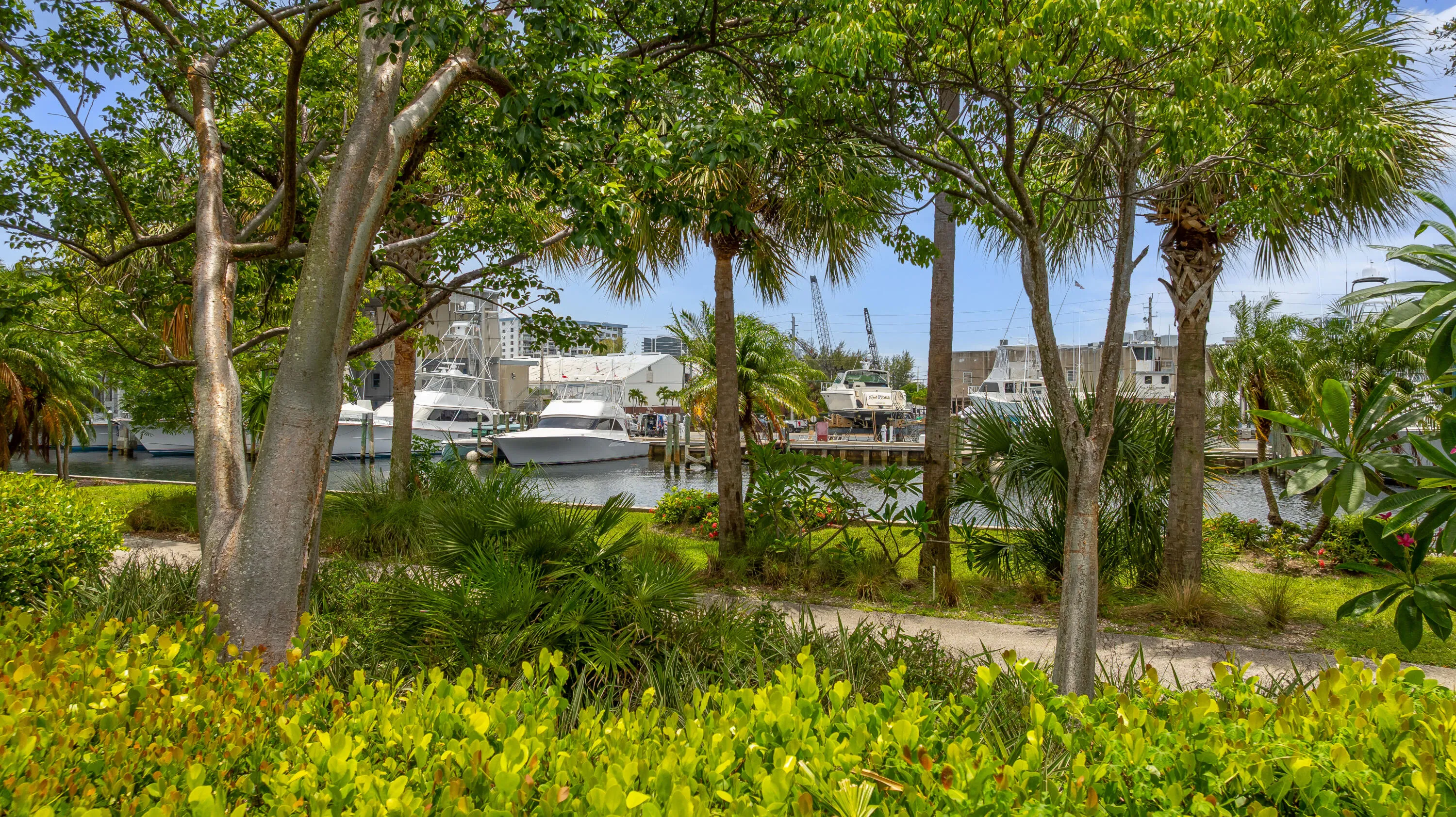 DJI_0766-Edit