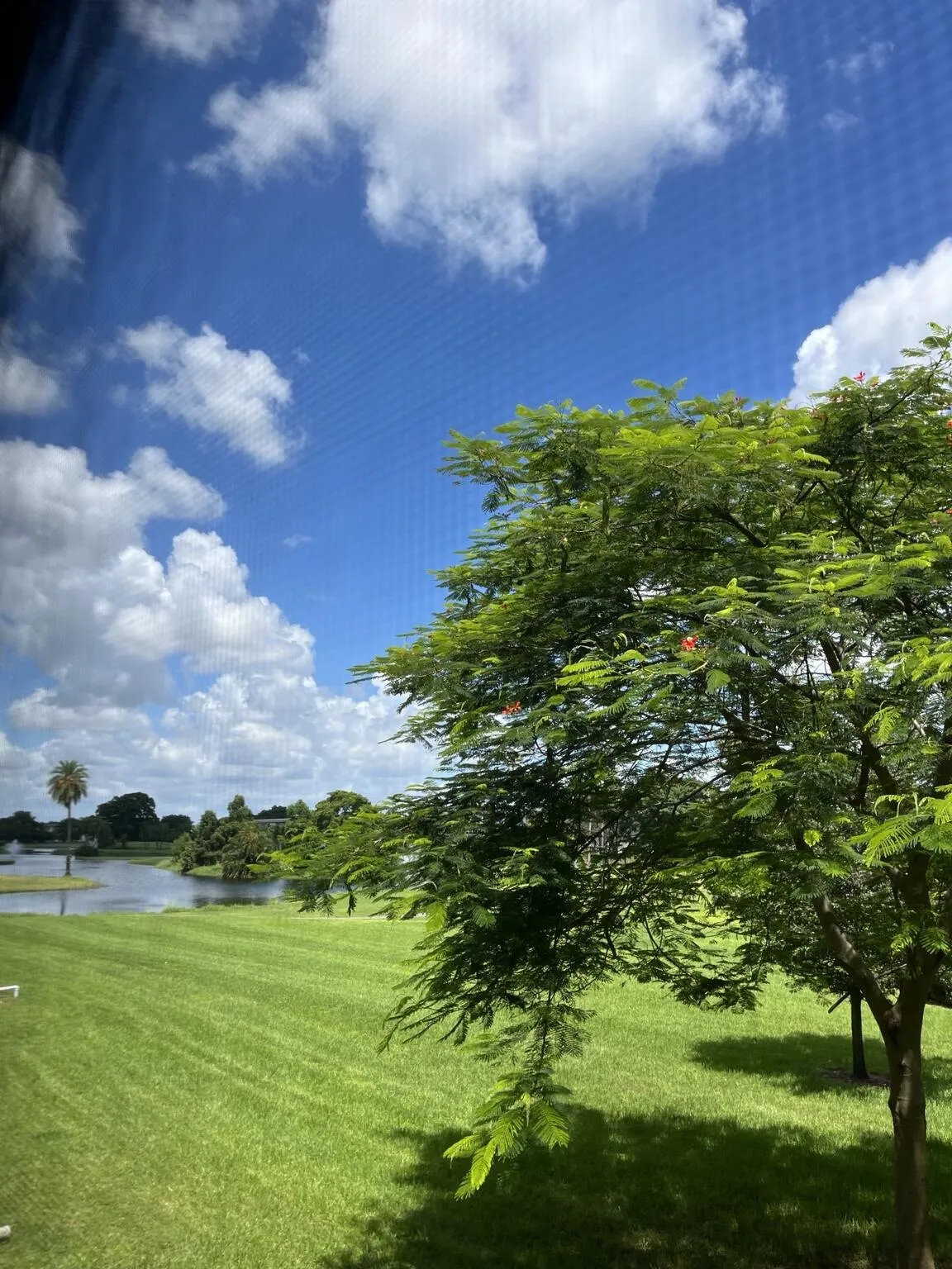 Patio View