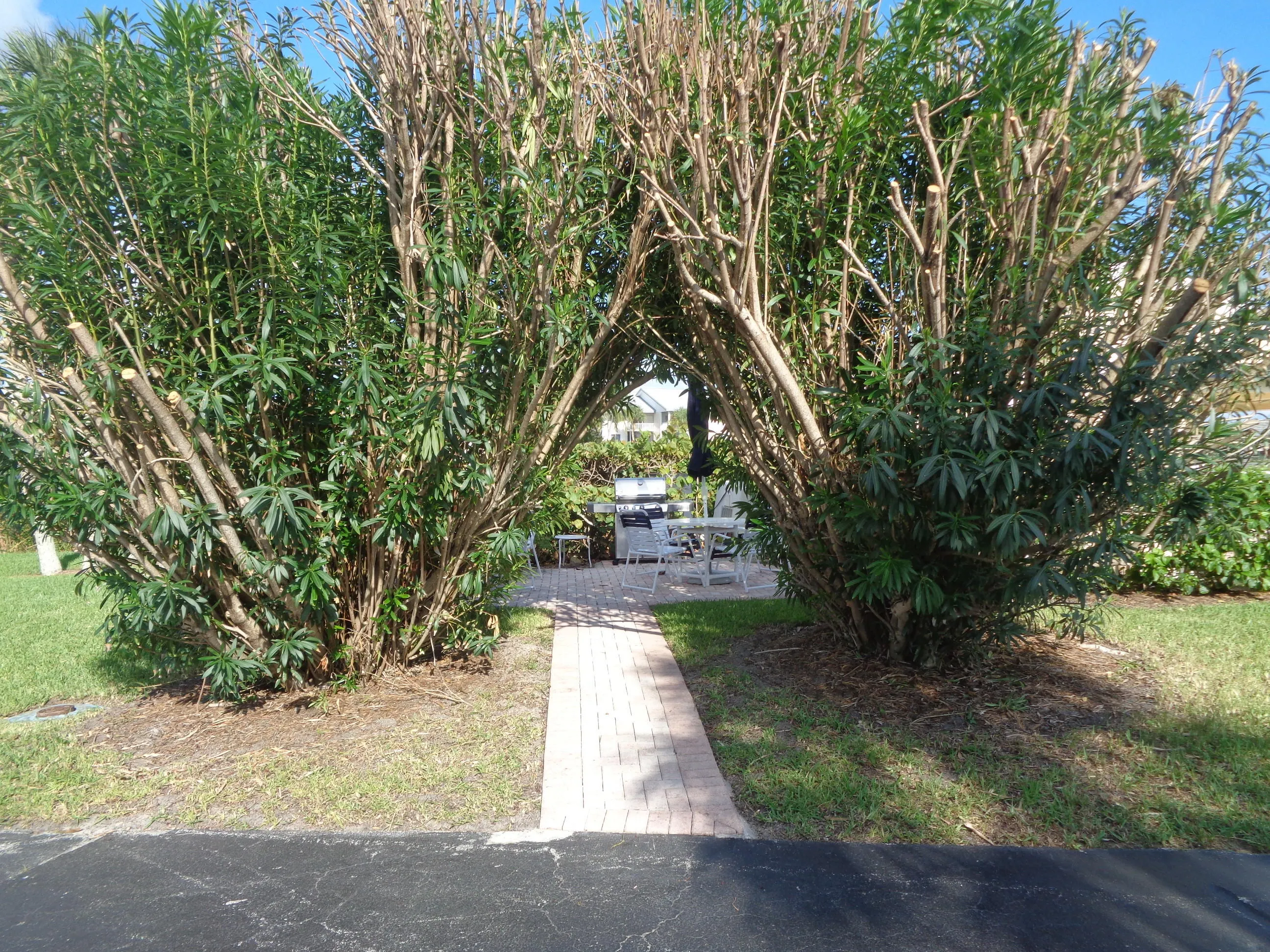 Property photo 28