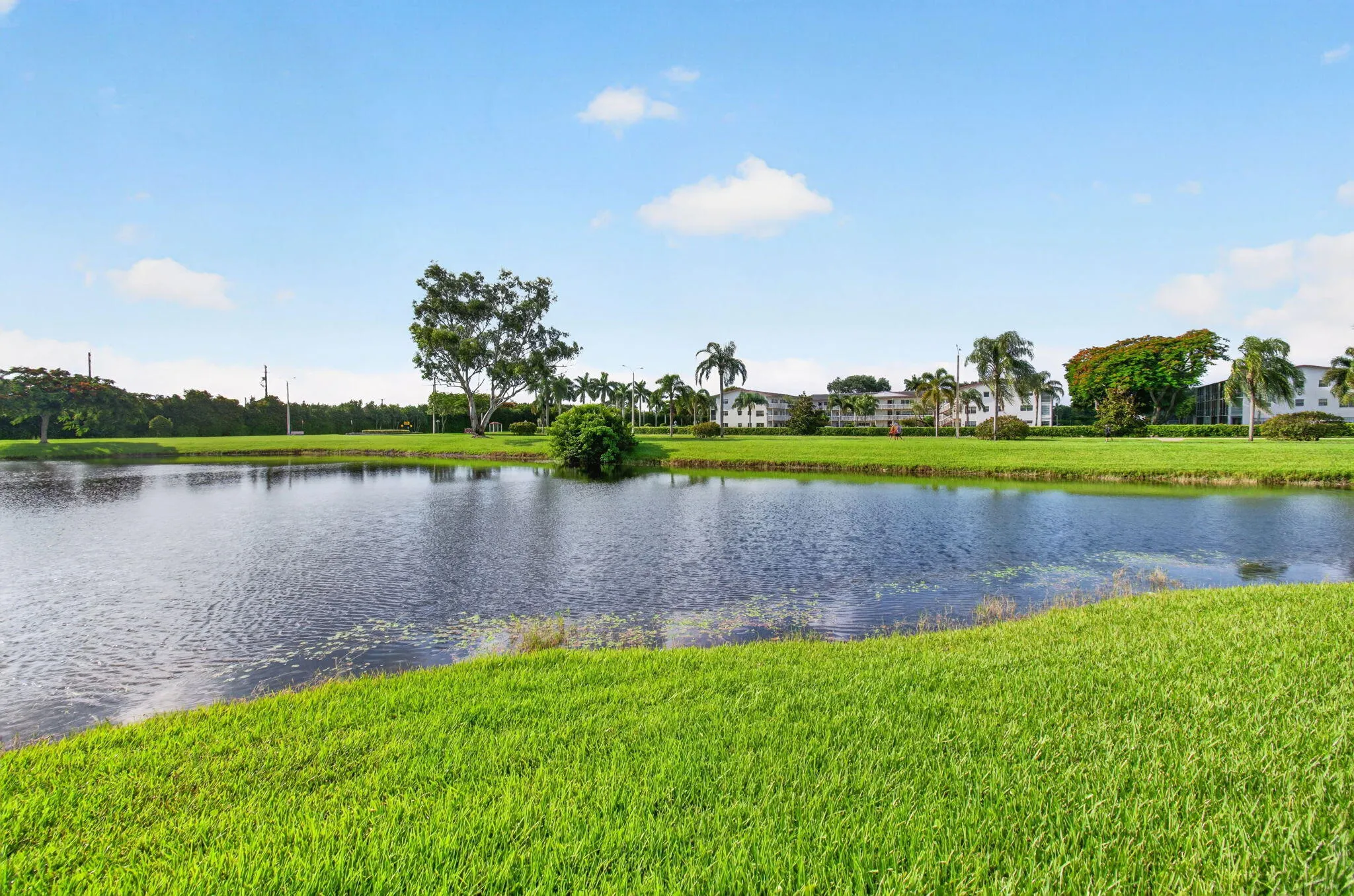 60-web-or-mls-DSC_3814