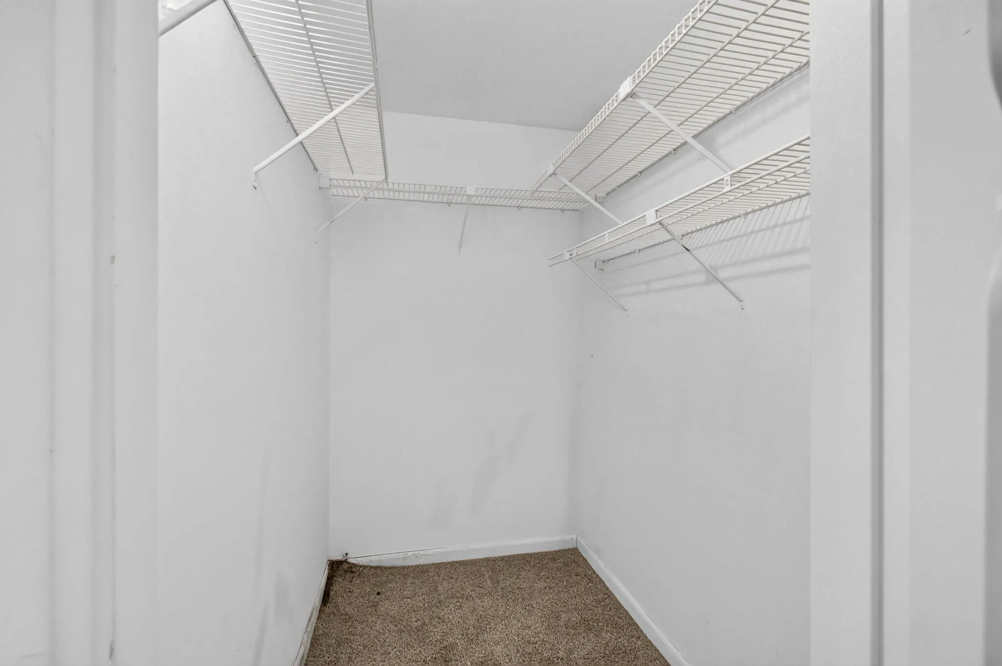 48-web-or-mls-DSC_4151