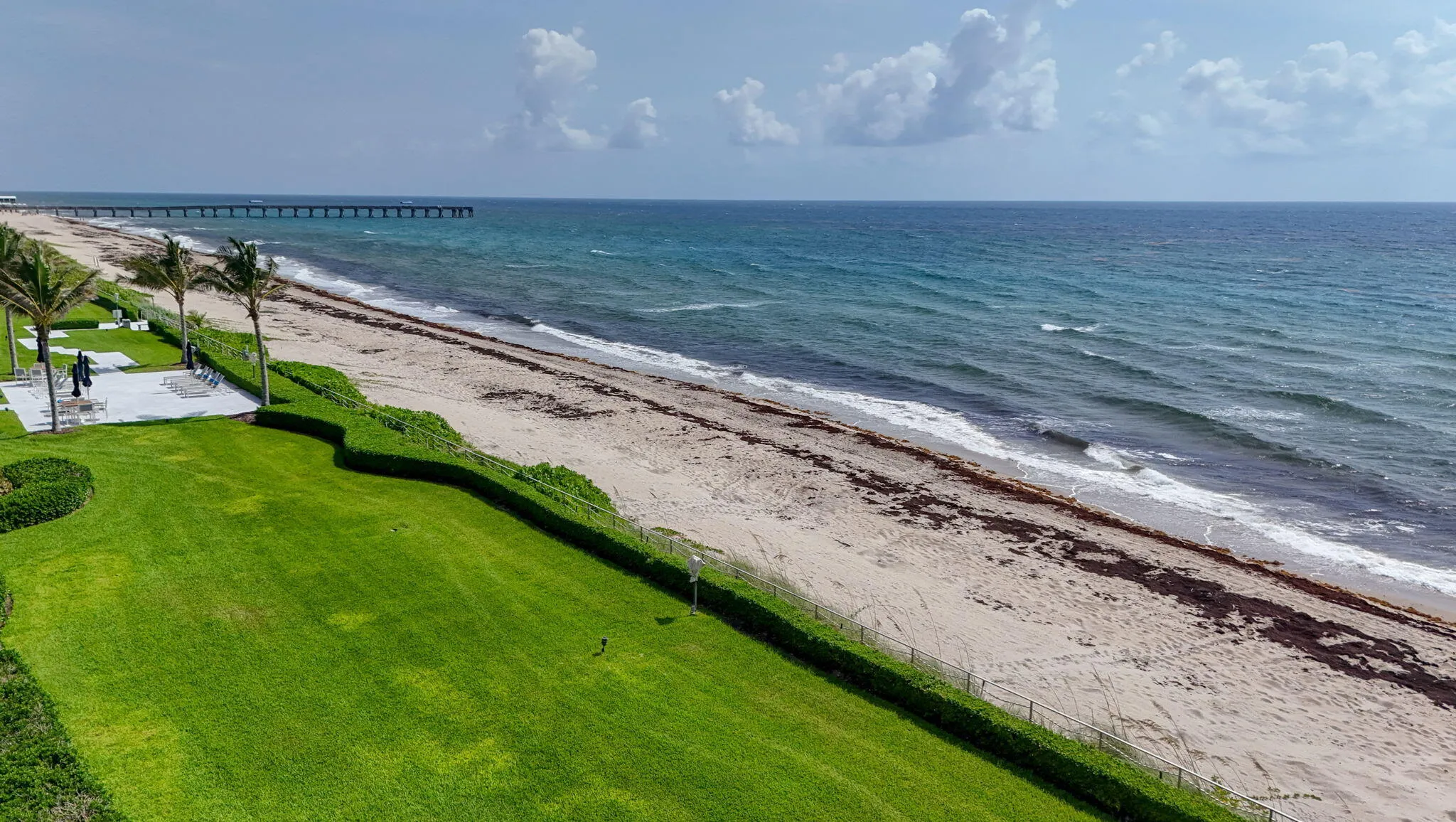 Manicured beachfront lawn with mature palm trees and paved patio areas